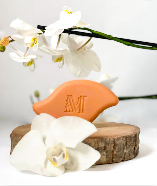 🧴 Le meilleur shampoing solide nourrissant pour cheveux secs : guide 2025