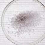 Vue en plongée de cristaux de sel dans une boîte de Petri, parfaite pour des images de stock scientifiques.