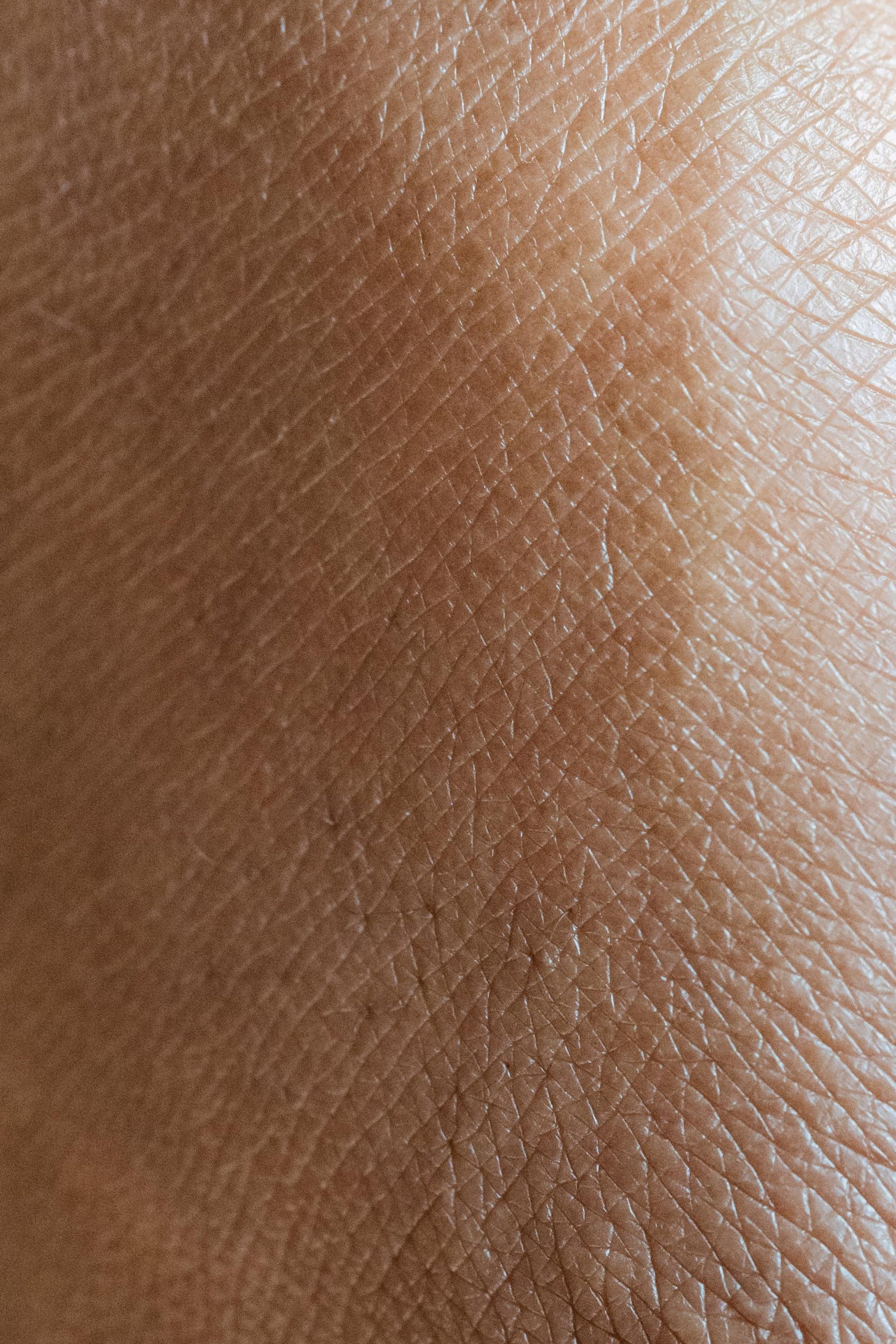 Fonctions et mystères de la peau profonde