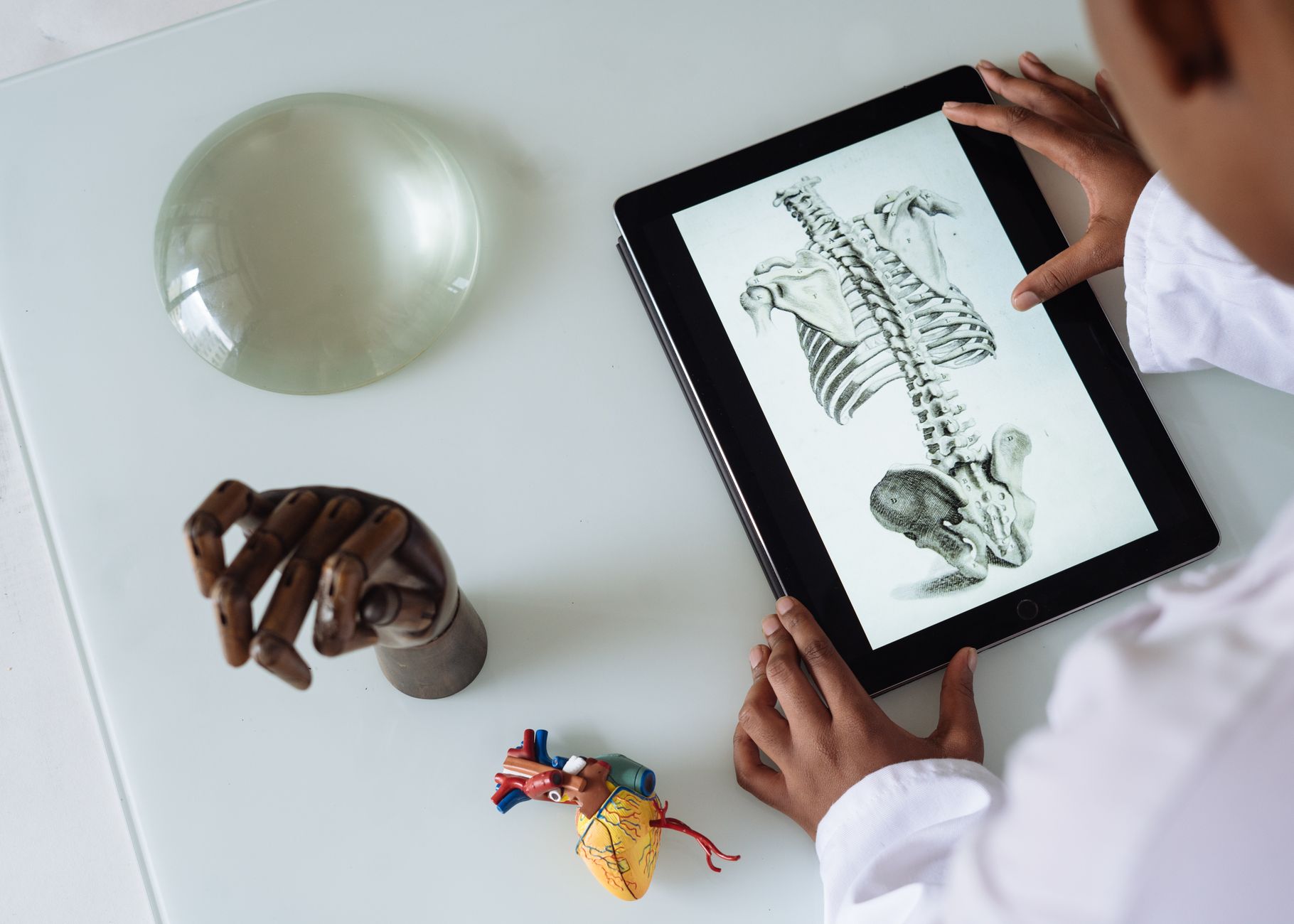 Étudiante consultant un squelette humain sur une tablette